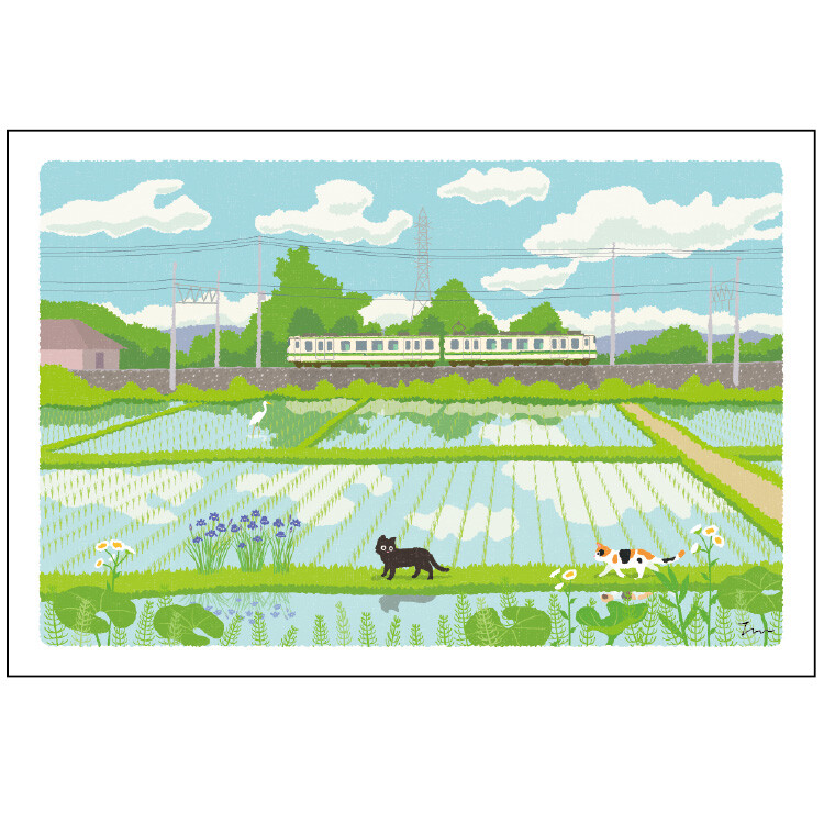 Tabi Neko Summer Postcard – Rice Fields — gallery