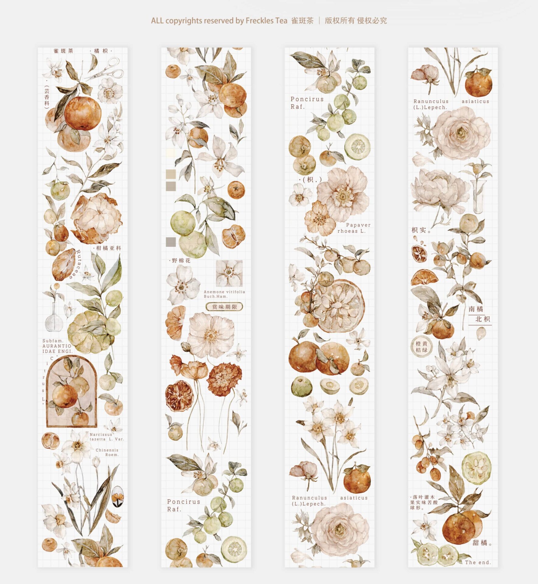 Freckles Tea Vol. 3 Collection - Tangerine (PET or Washi) - Image 3