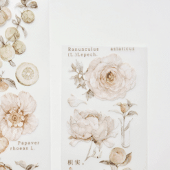 Freckles Tea Vol. 3 Collection - Tangerine (PET or Washi) - Image 9