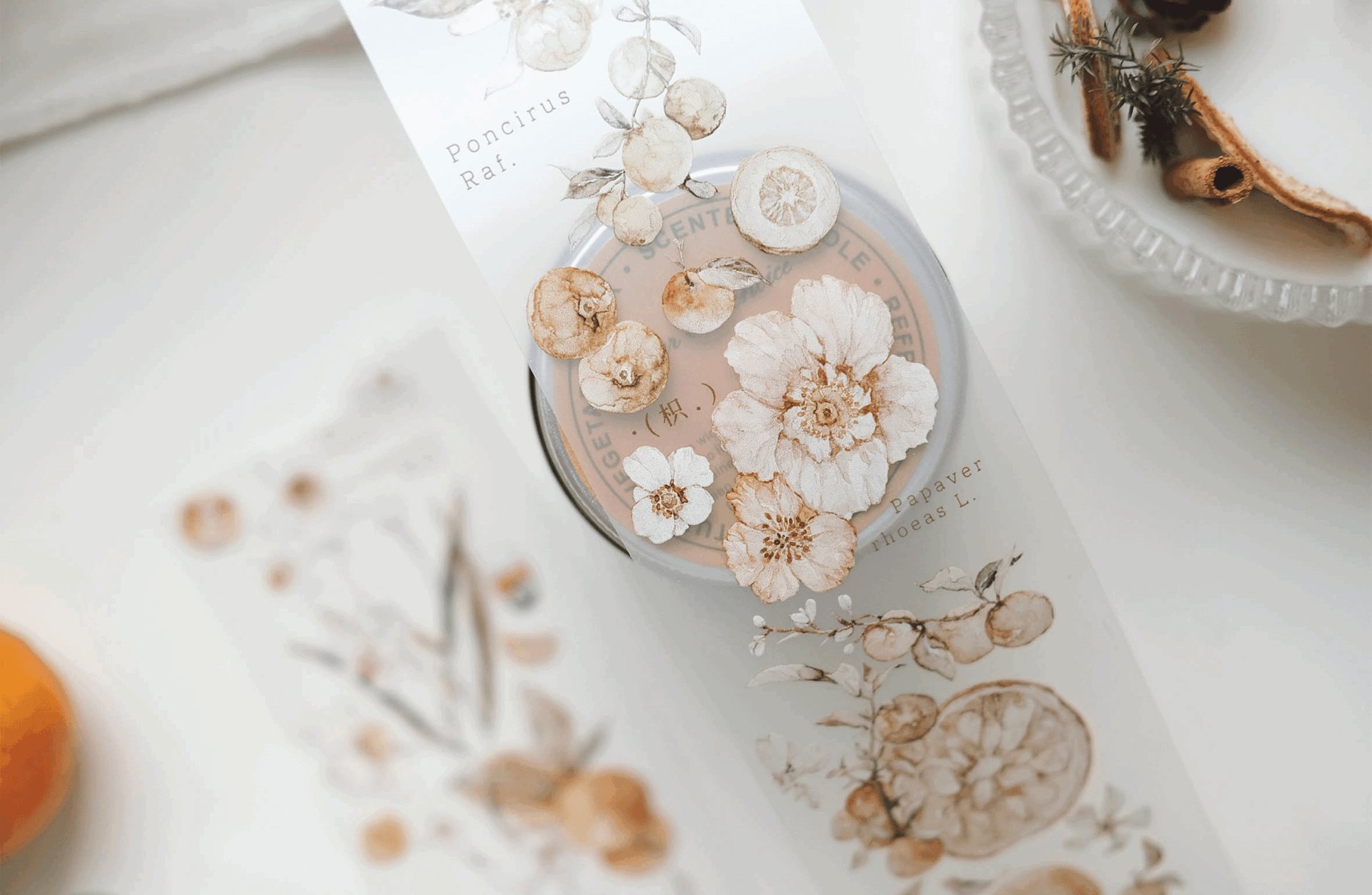 Freckles Tea Vol. 3 Collection - Tangerine (PET or Washi) - Image 5