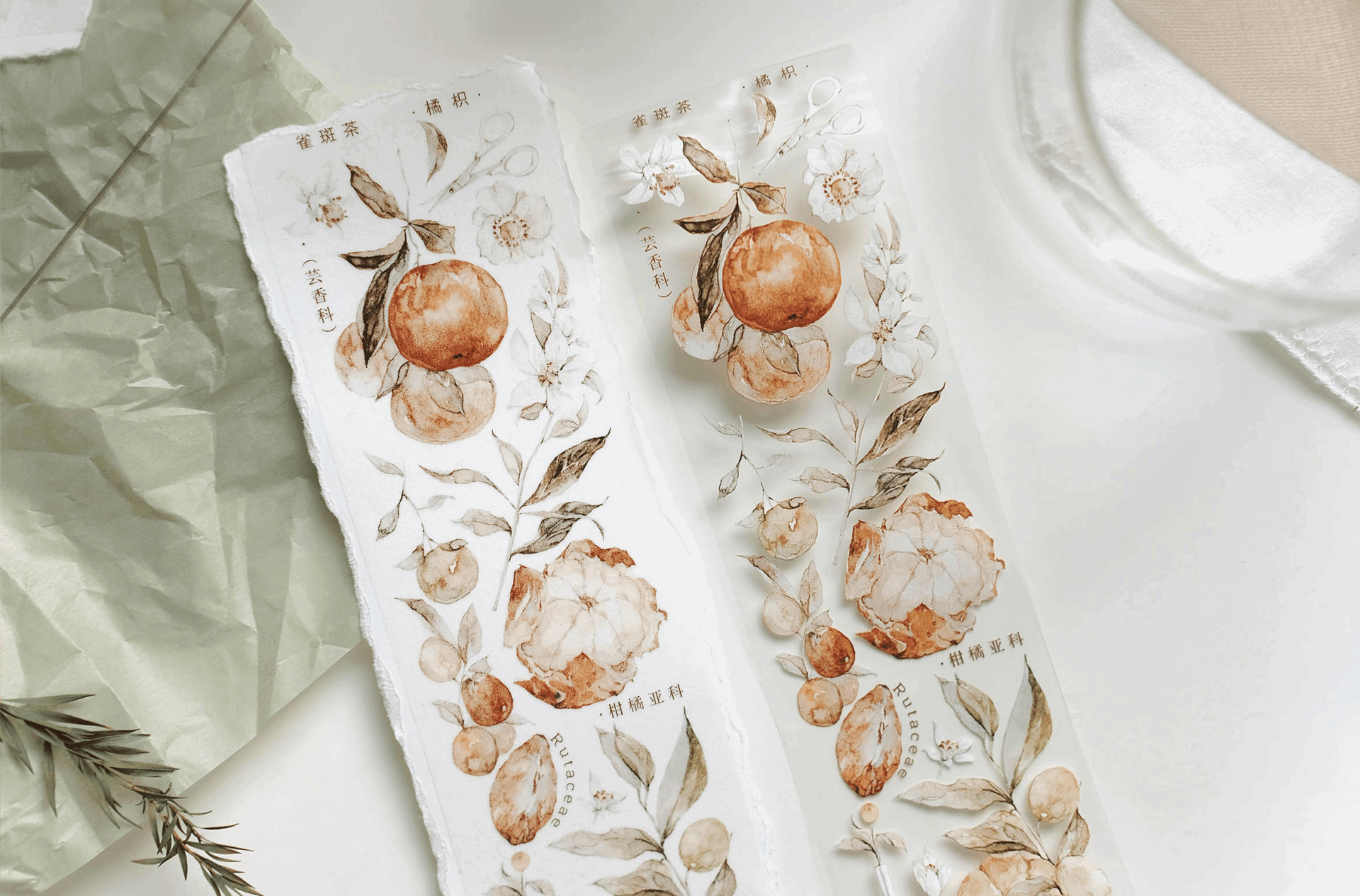 Freckles Tea Vol. 3 Collection - Tangerine (PET or Washi) - Image 2