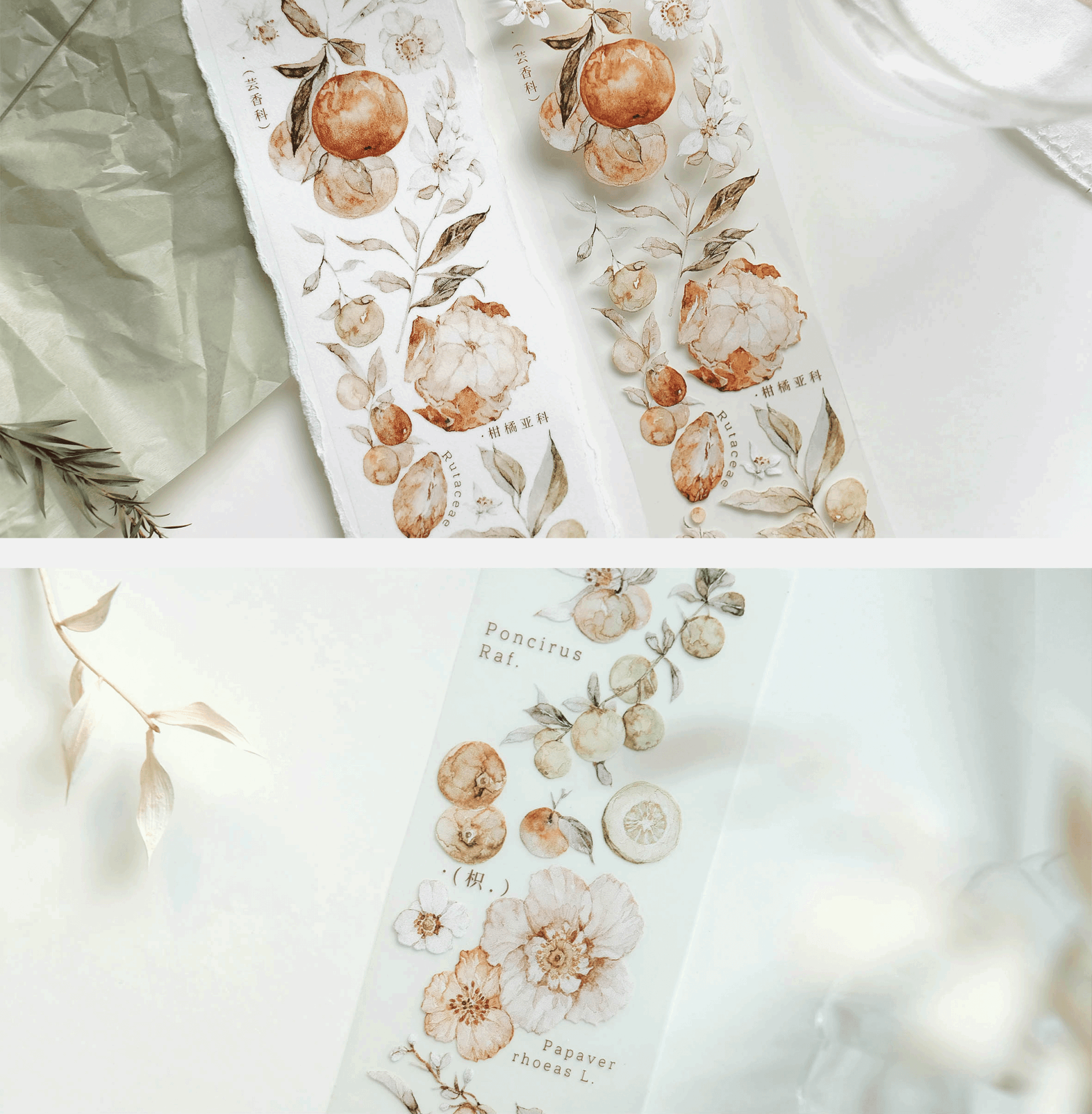 Freckles Tea Vol. 3 Collection - Tangerine (PET or Washi) - Image 7