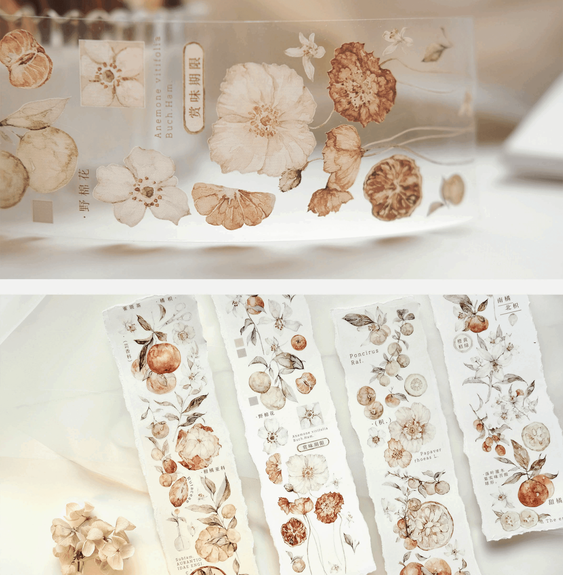 Freckles Tea Vol. 3 Collection - Tangerine (PET or Washi) - Image 4
