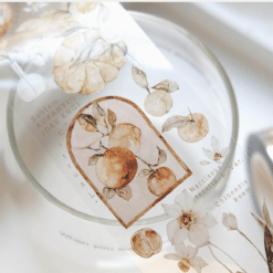 Freckles Tea Vol. 3 Collection - Tangerine (PET or Washi) - Image 6
