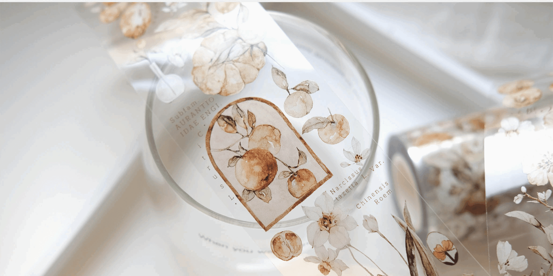 Freckles Tea Vol. 3 Collection - Tangerine (PET or Washi) - Image 6