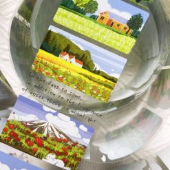 Xiami Studio PET Tape - Summer Vacation