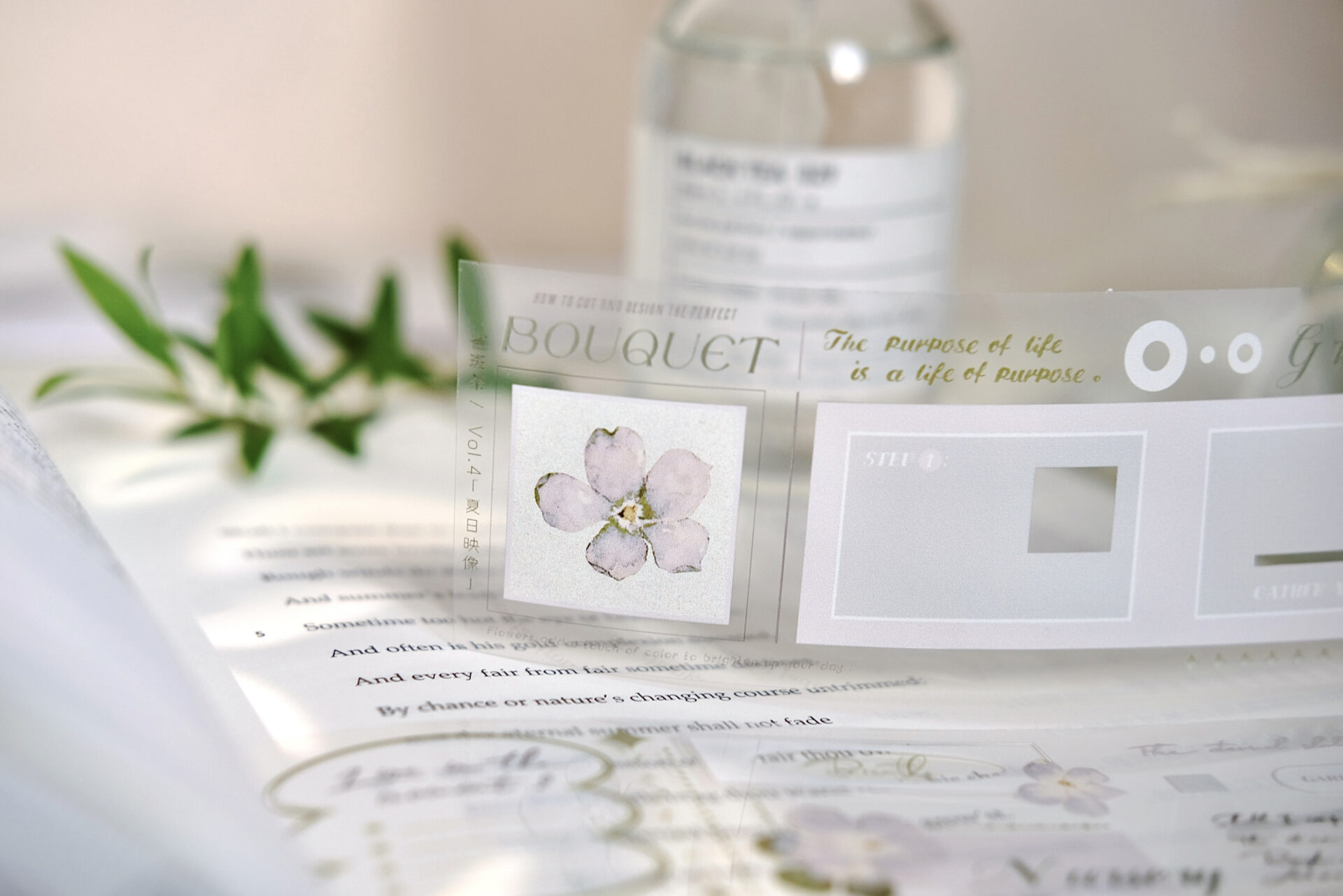 Freckles Tea Vol. 4 - Summer Memory Tape (PET or Washi)