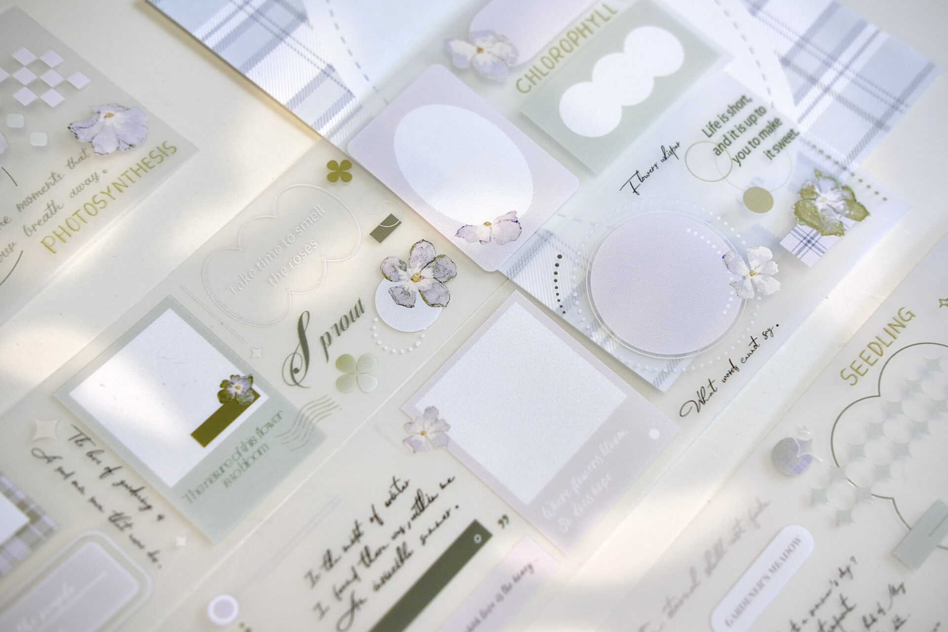 Freckles Tea Vol. 4 - Summer Memory Tape (PET or Washi)