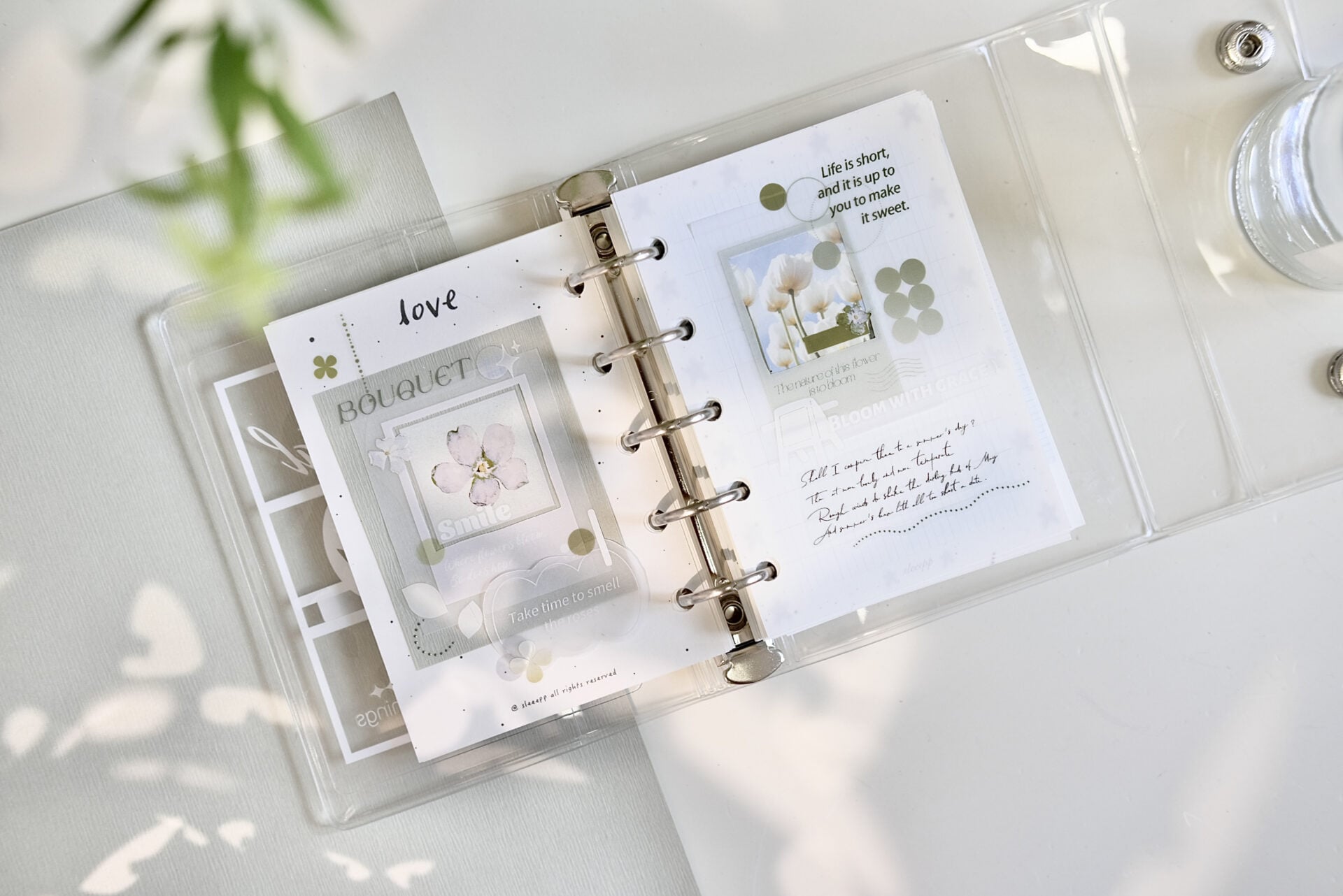Freckles Tea Vol. 4 - Summer Memory Tape (PET or Washi)