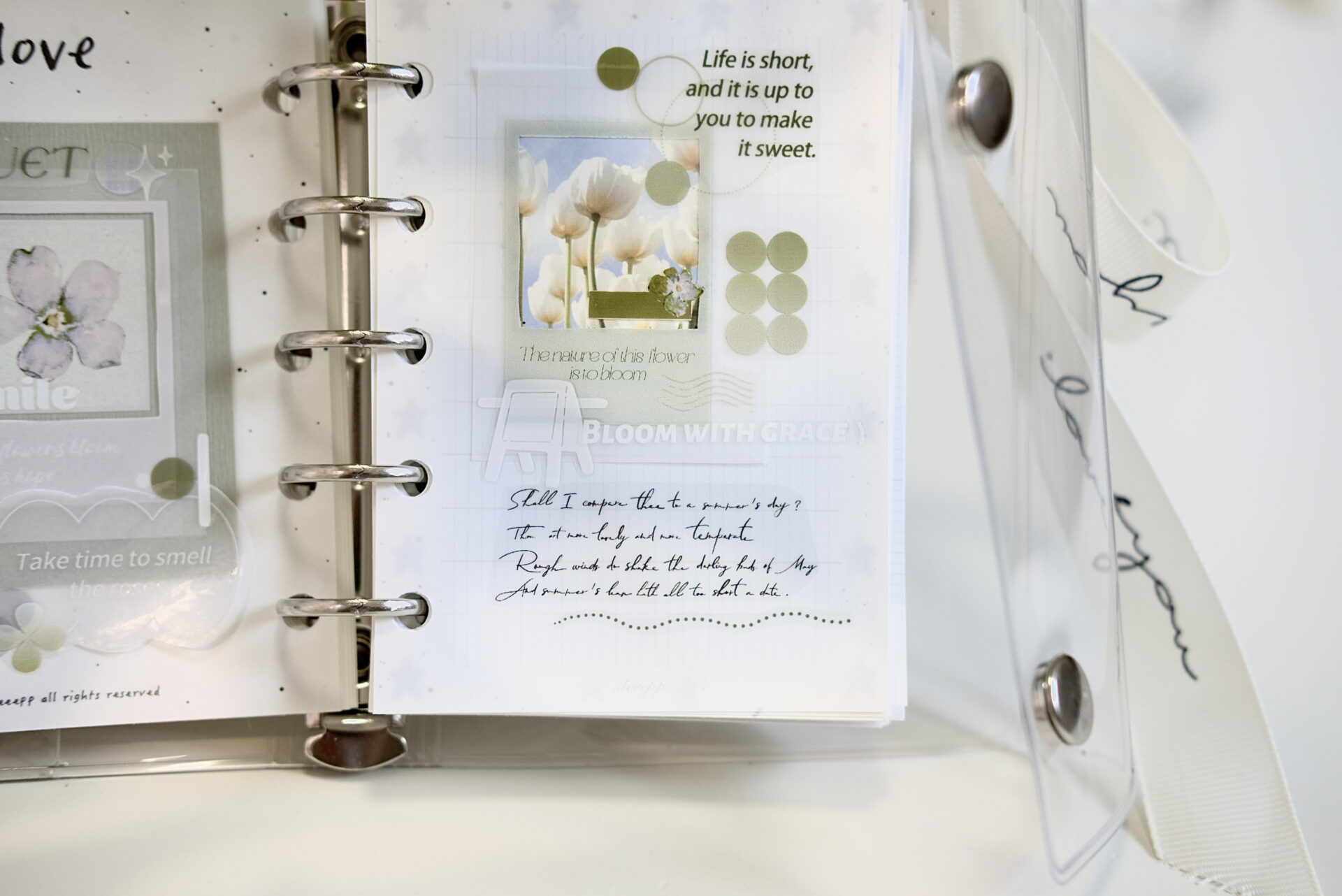 Freckles Tea Vol. 4 - Summer Memory Tape (PET or Washi) - Image 26