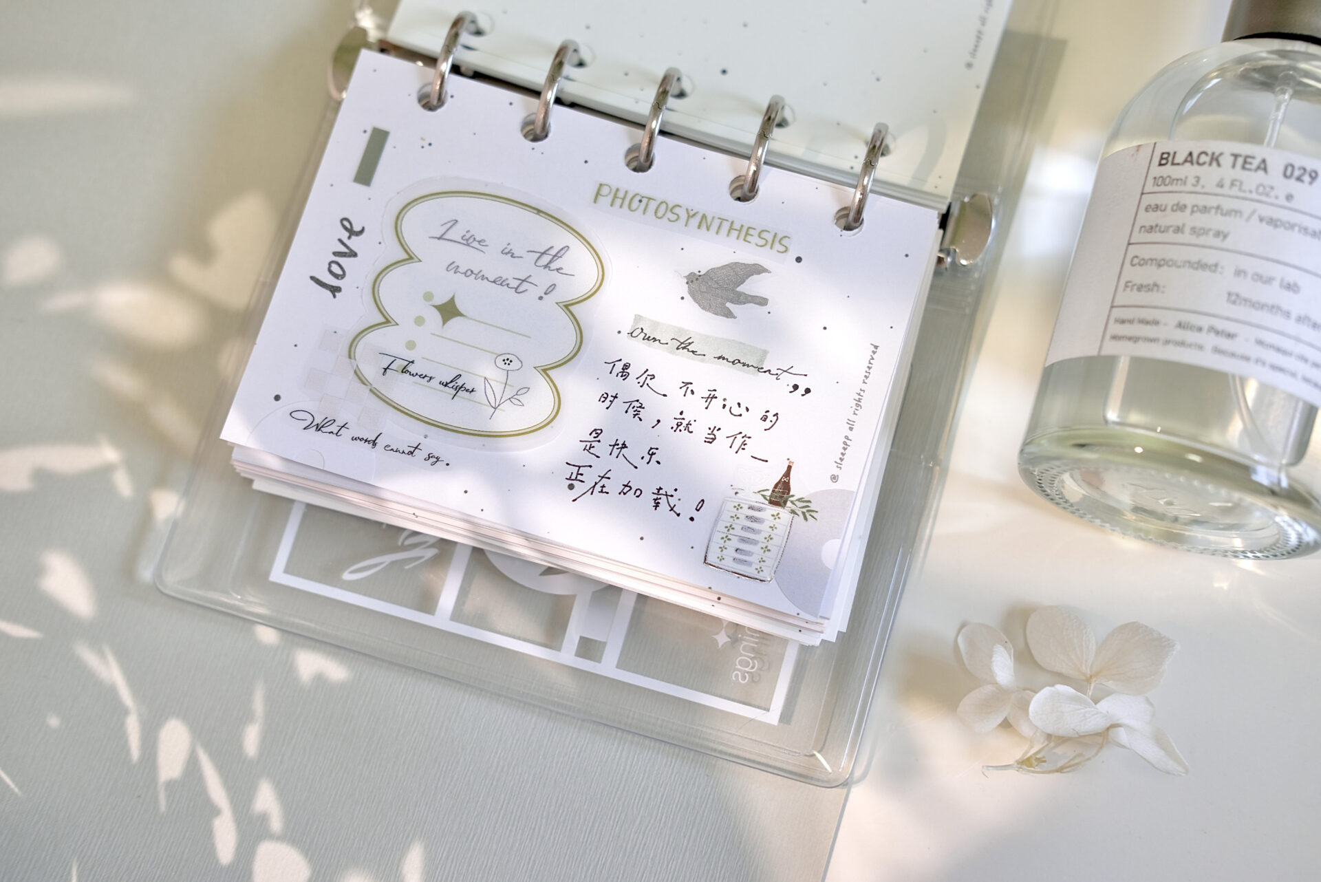 Freckles Tea Vol. 4 - Summer Memory Tape (PET or Washi) - Image 27