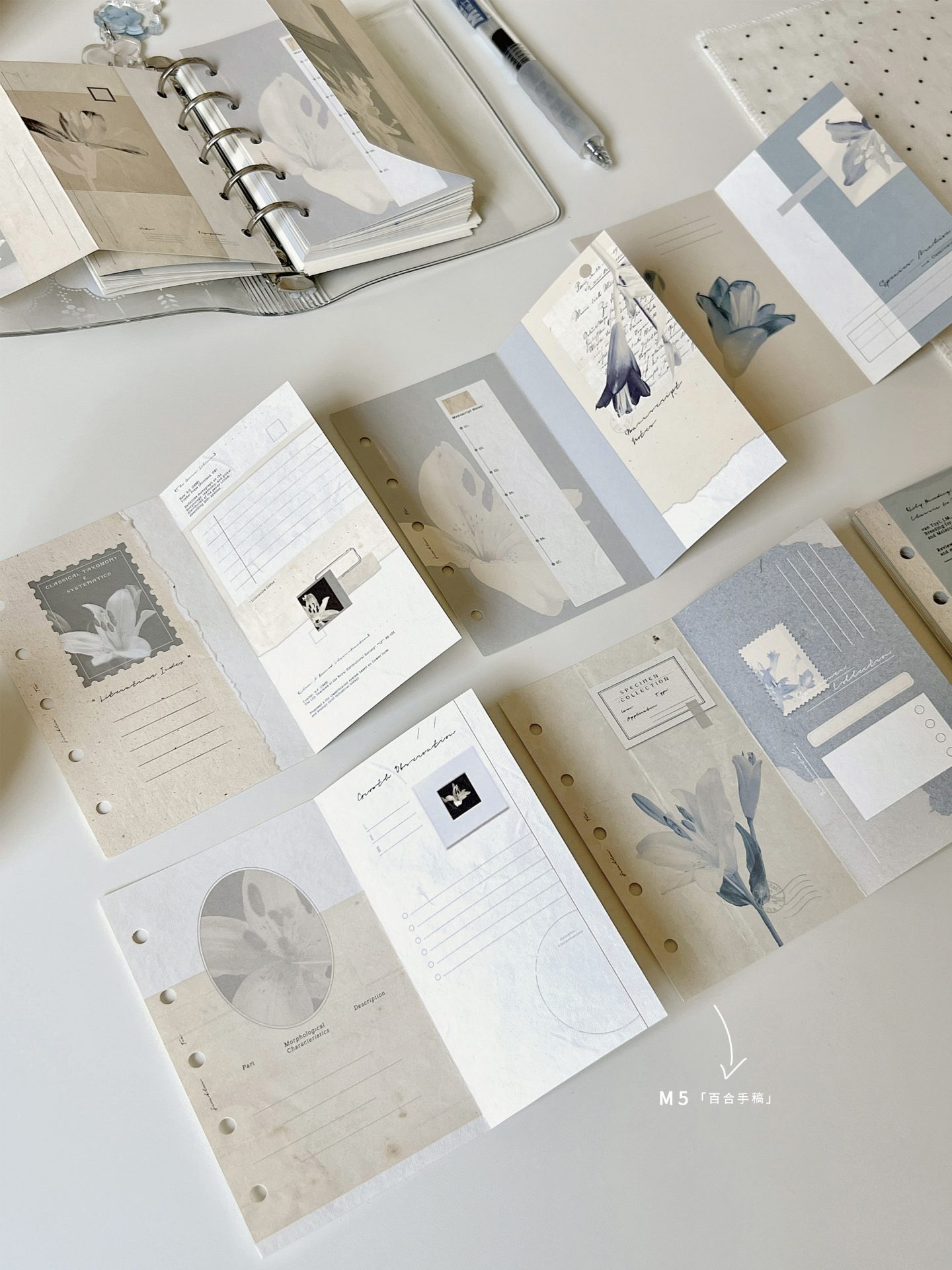 Freckles Tea Loose Leaf Inserts for Ring Binder - Image 4