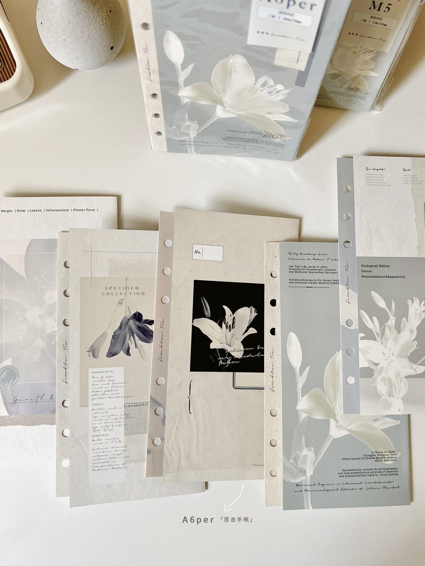 Freckles Tea Loose Leaf Inserts for Ring Binder - Image 7