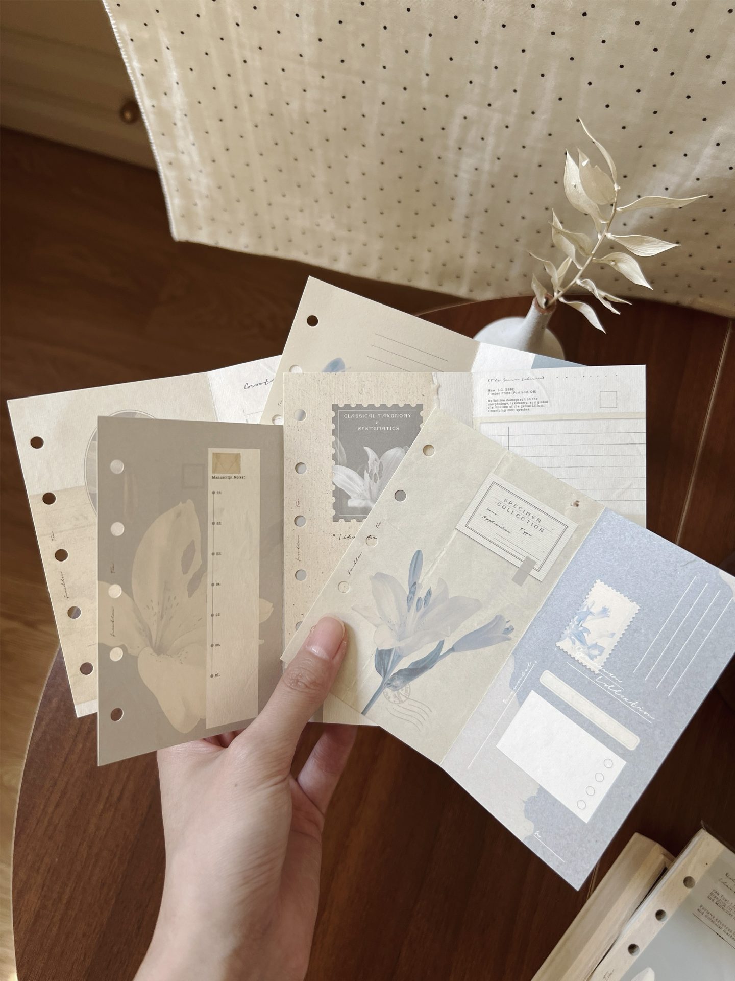 Freckles Tea Loose Leaf Inserts for Ring Binder - Image 8