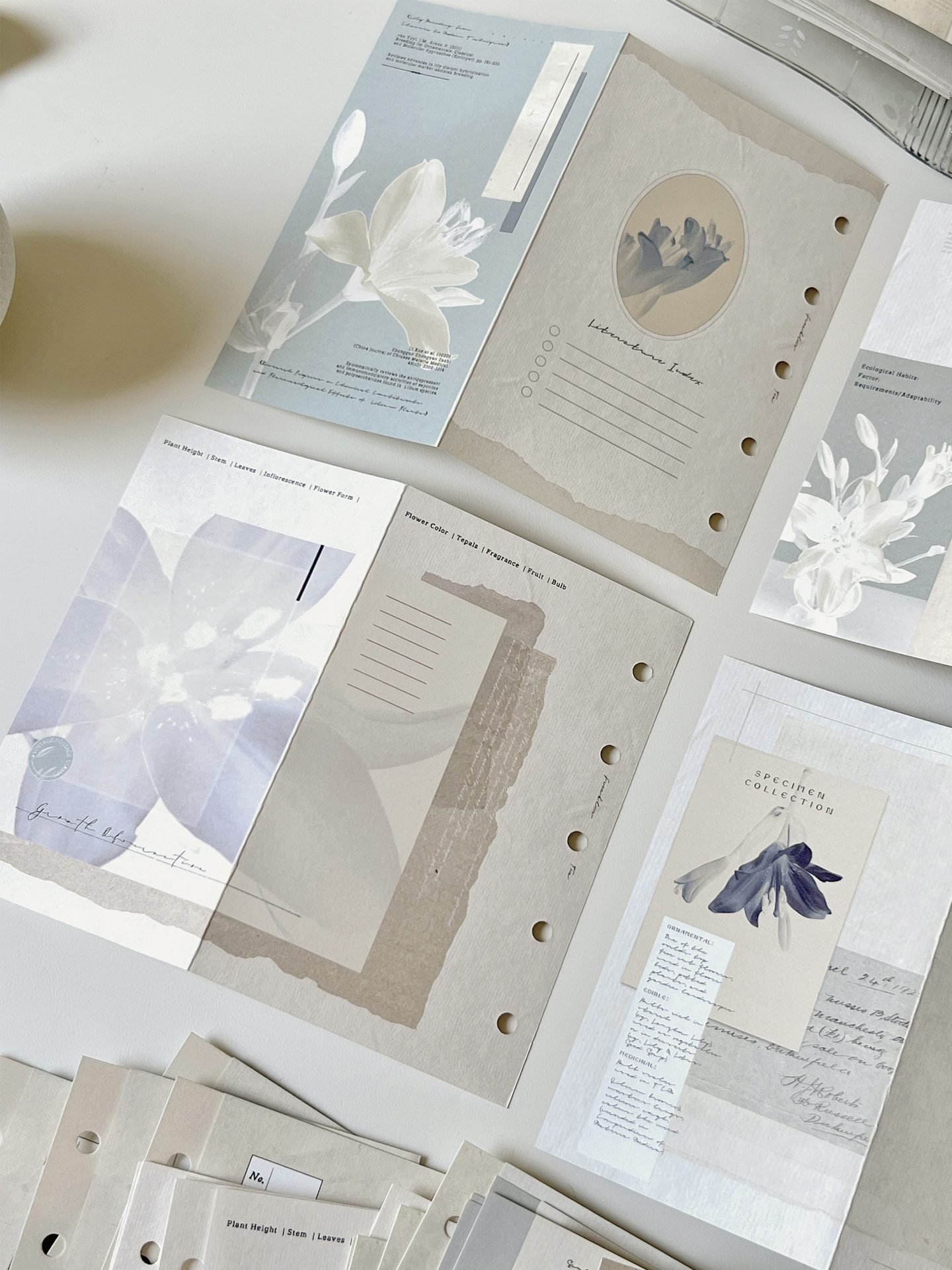 Freckles Tea Loose Leaf Inserts for Ring Binder - Image 10