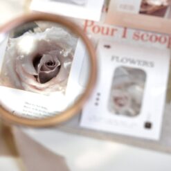 Freckles Tea Notecards - Rose Garden