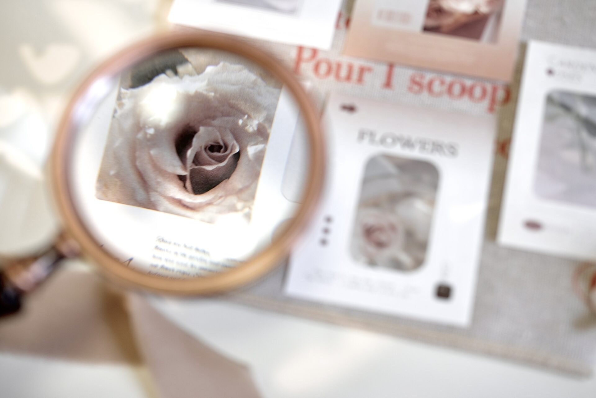 Freckles Tea Notecards - Rose Garden